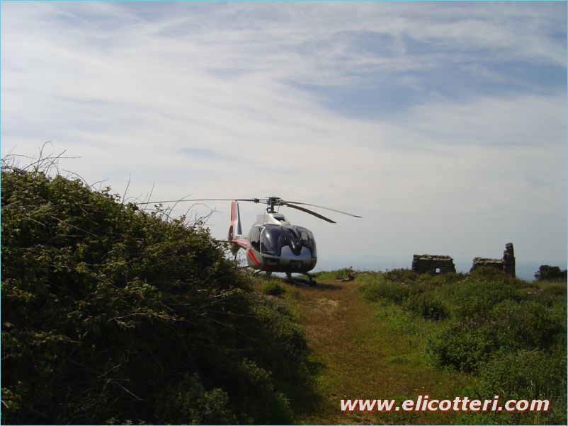 elifoto (49)